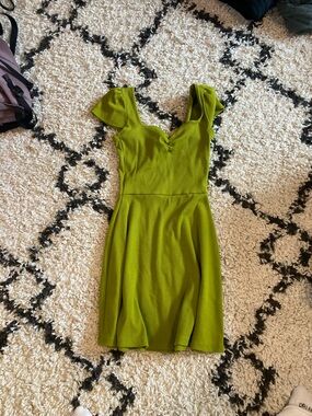 wild fable Olive Green Fit-and-Flare Mini Dress